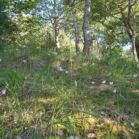 Casale Torone Ogliastro Cilento