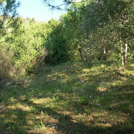 Apartment Casale Torone Ogliastro Cilento